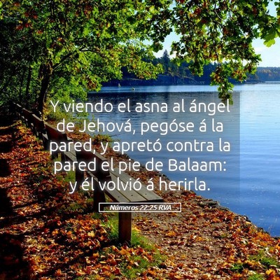 Picture 05 - Números 22:25 RVA - Y viendo el asna al ángel de Jehová, pegóse á - Bible Verse Picture