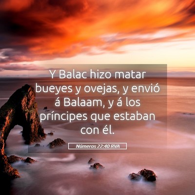 Picture 05 - Números 22:40 RVA - Y Balac hizo matar bueyes y ovejas, y envió á - Bible Verse Picture