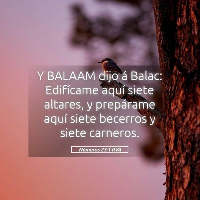 Picture 05 - Números 23:1 RVA - Y BALAAM dijo á Balac: Edifícame aquí siete - Bible Verse Picture