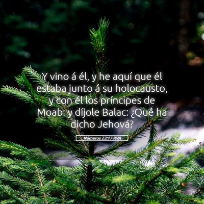 Picture 05 - Números 23:17 RVA - Y vino á él, y he aquí que él estaba junto á - Bible Verse Picture