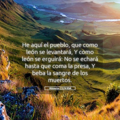 Picture 05 - Números 23:24 RVA - He aquí el pueblo, que como león se levantará, - Bible Verse Picture