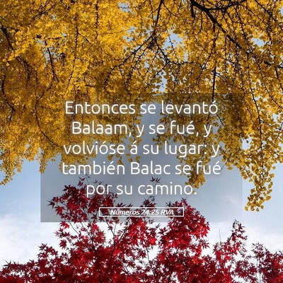 Picture 05 - Números 24:25 RVA - Entonces se levantó Balaam, y se fué, y - Bible Verse Picture
