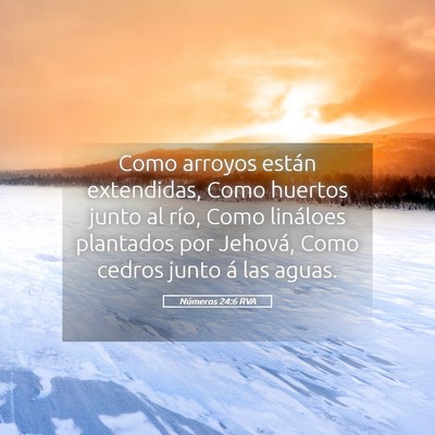 Picture 05 - Números 24:6 RVA - Como arroyos están extendidas, Como huertos - Bible Verse Picture