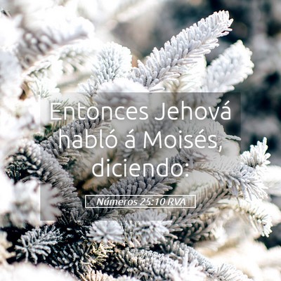 Picture 05 - Números 25:10 RVA - Entonces Jehová habló á Moisés, - Bible Verse Picture