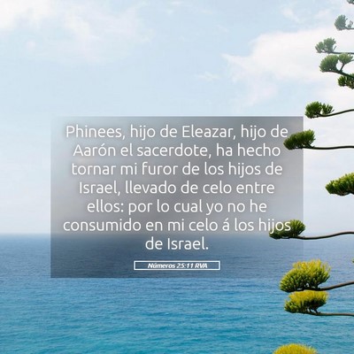 Picture 05 - Números 25:11 RVA - Phinees, hijo de Eleazar, hijo de Aarón el - Bible Verse Picture