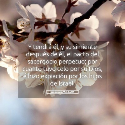 Picture 05 - Números 25:13 RVA - Y tendrá él, y su simiente después de él, el - Bible Verse Picture
