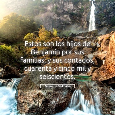 Picture 05 - Números 26:41 RVA - Estos son los hijos de Benjamín por sus - Bible Verse Picture