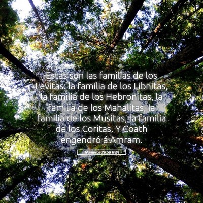 Picture 05 - Números 26:58 RVA - Estas son las familias de los Levitas: la familia - Bible Verse Picture