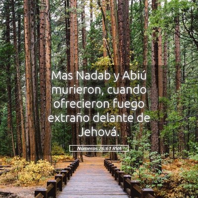 Picture 05 - Números 26:61 RVA - Mas Nadab y Abiú murieron, cuando ofrecieron - Bible Verse Picture