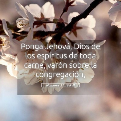 Picture 05 - Números 27:16 RVA - Ponga Jehová, Dios de los espíritus de toda - Bible Verse Picture