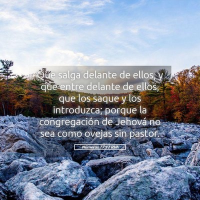 Picture 05 - Números 27:17 RVA - Que salga delante de ellos, y que entre delante - Bible Verse Picture