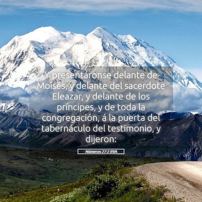Picture 05 - Números 27:2 RVA - Y presentáronse delante de Moisés, y delante - Bible Verse Picture