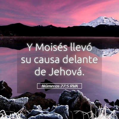 Picture 05 - Números 27:5 RVA - Y Moisés llevó su causa delante de - Bible Verse Picture