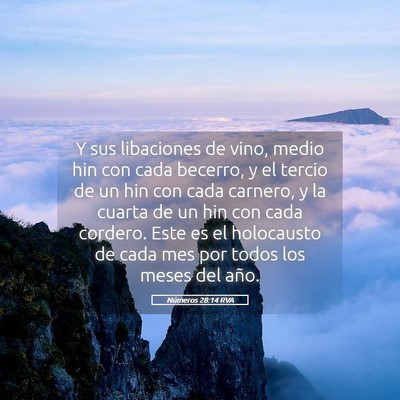 Picture 05 - Números 28:14 RVA - Y sus libaciones de vino, medio hin con cada - Bible Verse Picture