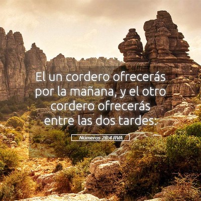 Picture 05 - Números 28:4 RVA - El un cordero ofrecerás por la mañana, y el - Bible Verse Picture