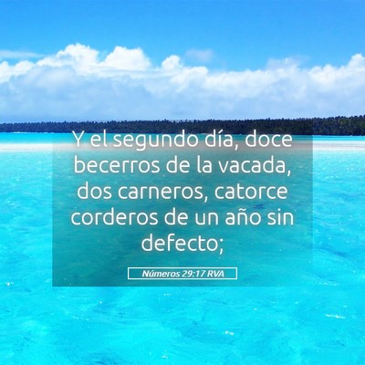 Picture 05 - Números 29:17 RVA - Y el segundo día, doce becerros de la vacada, - Bible Verse Picture