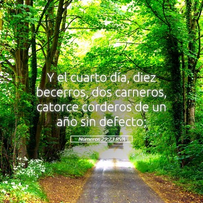 Picture 05 - Números 29:23 RVA - Y el cuarto día, diez becerros, dos carneros, - Bible Verse Picture