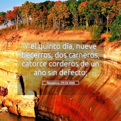 Picture 05 - Números 29:26 RVA - Y el quinto día, nueve becerros, dos carneros, - Bible Verse Picture