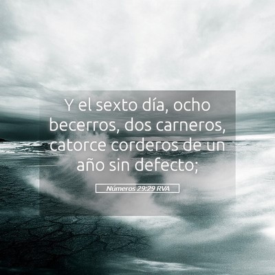 Picture 05 - Números 29:29 RVA - Y el sexto día, ocho becerros, dos carneros, - Bible Verse Picture