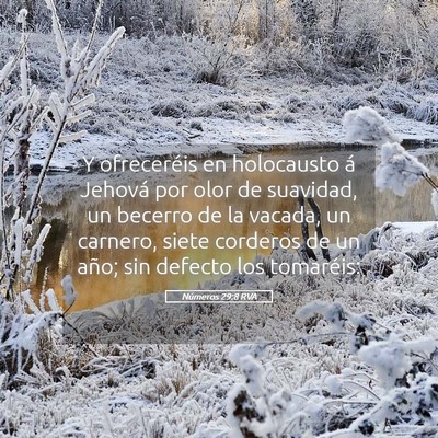 Picture 05 - Números 29:8 RVA - Y ofreceréis en holocausto á Jehová por olor - Bible Verse Picture