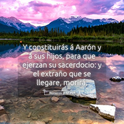 Picture 05 - Números 3:10 RVA - Y constituirás á Aarón y á sus hijos, para - Bible Verse Picture