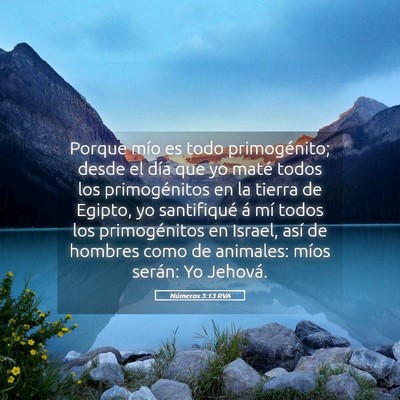 Picture 05 - Números 3:13 RVA - Porque mío es todo primogénito; desde el día - Bible Verse Picture