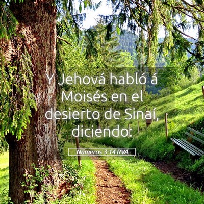 Picture 05 - Números 3:14 RVA - Y Jehová habló á Moisés en el desierto de - Bible Verse Picture