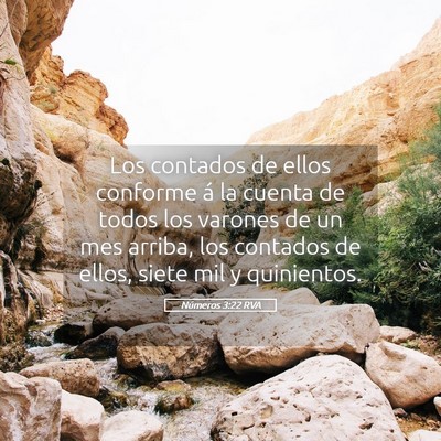 Picture 05 - Números 3:22 RVA - Los contados de ellos conforme á la cuenta de - Bible Verse Picture