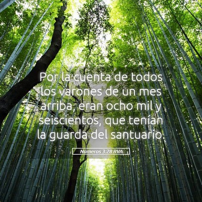 Picture 05 - Números 3:28 RVA - Por la cuenta de todos los varones de un mes - Bible Verse Picture