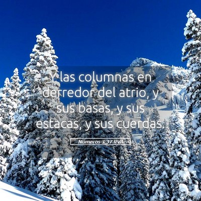 Picture 05 - Números 3:37 RVA - Y las columnas en derredor del atrio, y sus - Bible Verse Picture