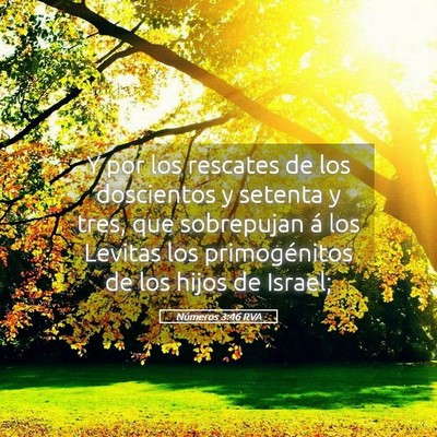 Picture 05 - Números 3:46 RVA - Y por los rescates de los doscientos y setenta y - Bible Verse Picture