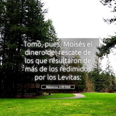 Picture 05 - Números 3:49 RVA - Tomó, pues, Moisés el dinero del rescate de los - Bible Verse Picture