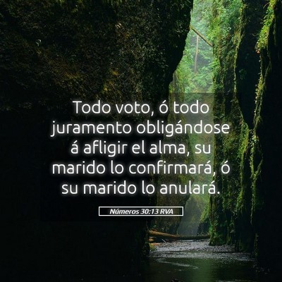 Picture 05 - Números 30:13 RVA - Todo voto, ó todo juramento obligándose á - Bible Verse Picture