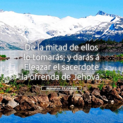 Picture 05 - Números 31:29 RVA - De la mitad de ellos lo tomarás; y darás á - Bible Verse Picture