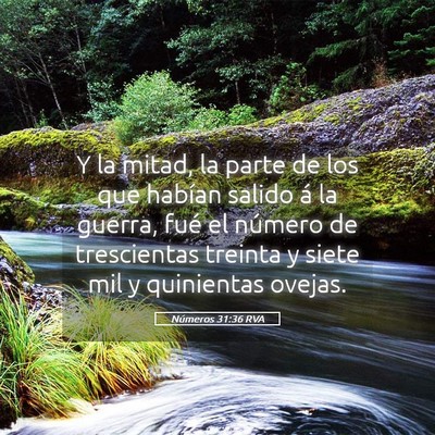 Picture 05 - Números 31:36 RVA - Y la mitad, la parte de los que habían salido á - Bible Verse Picture