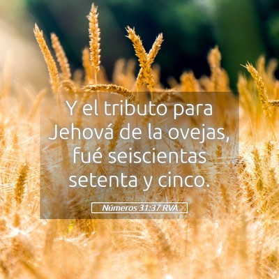 Picture 05 - Números 31:37 RVA - Y el tributo para Jehová de la ovejas, fué - Bible Verse Picture