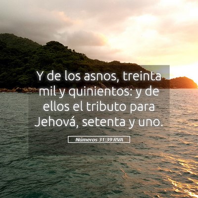 Picture 05 - Números 31:39 RVA - Y de los asnos, treinta mil y quinientos: y de - Bible Verse Picture