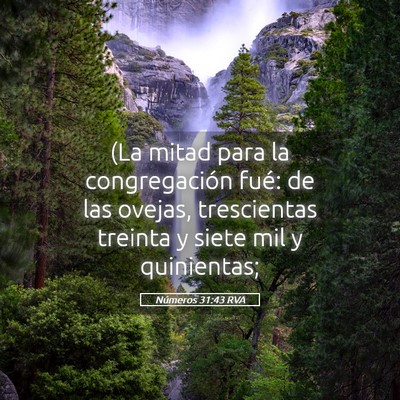 Picture 05 - Números 31:43 RVA - (La mitad para la congregación fué: de las - Bible Verse Picture