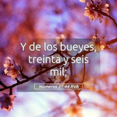 Picture 05 - Números 31:44 RVA - Y de los bueyes, treinta y seis - Bible Verse Picture