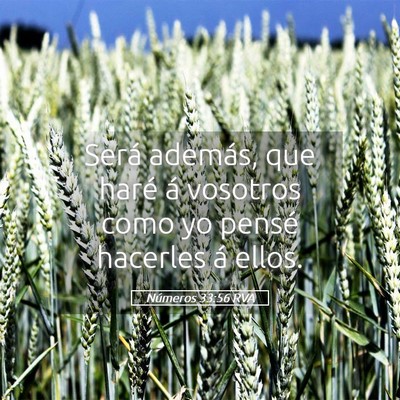 Picture 05 - Números 33:56 RVA - Será además, que haré á vosotros como yo - Bible Verse Picture