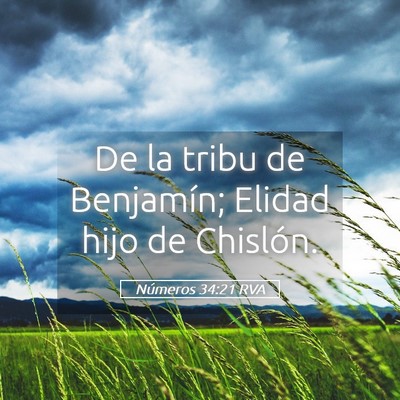 Picture 05 - Números 34:21 RVA - De la tribu de Benjamín; Elidad hijo de - Bible Verse Picture
