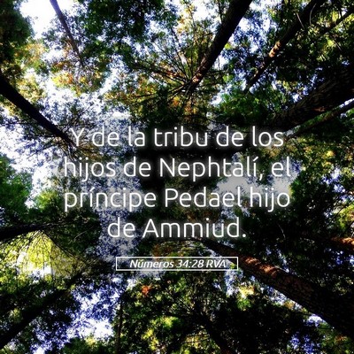 Picture 05 - Números 34:28 RVA - Y de la tribu de los hijos de Nephtalí, el - Bible Verse Picture