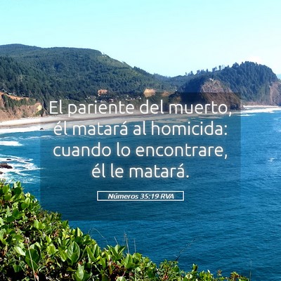 Picture 05 - Números 35:19 RVA - El pariente del muerto, él matará al homicida: - Bible Verse Picture