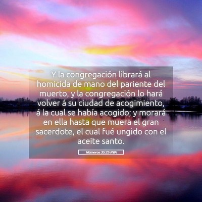 Picture 05 - Números 35:25 RVA - Y la congregación librará al homicida de mano - Bible Verse Picture