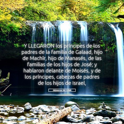 Picture 05 - Números 36:1 RVA - Y LLEGARON los príncipes de los padres de la - Bible Verse Picture