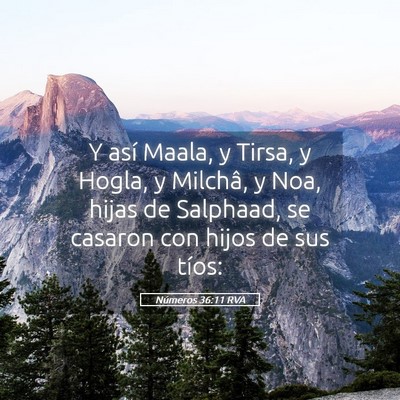 Picture 05 - Números 36:11 RVA - Y así Maala, y Tirsa, y Hogla, y Milchâ, y Noa, - Bible Verse Picture