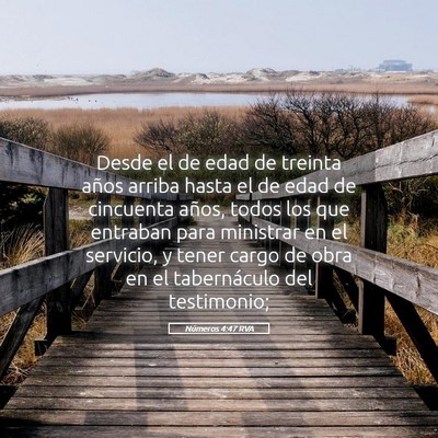 Picture 05 - Números 4:47 RVA - Desde el de edad de treinta años arriba hasta el - Bible Verse Picture
