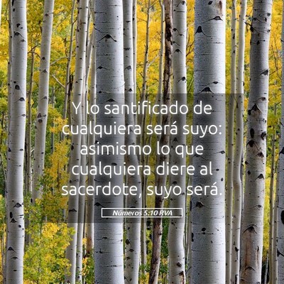Picture 05 - Números 5:10 RVA - Y lo santificado de cualquiera será suyo: - Bible Verse Picture