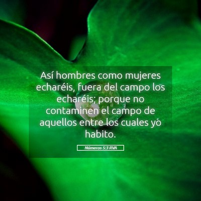 Picture 05 - Números 5:3 RVA - Así hombres como mujeres echaréis, fuera del - Bible Verse Picture