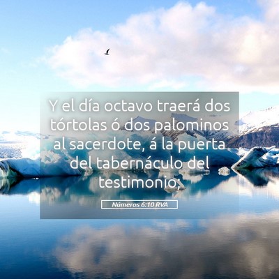 Picture 05 - Números 6:10 RVA - Y el día octavo traerá dos tórtolas ó dos - Bible Verse Picture